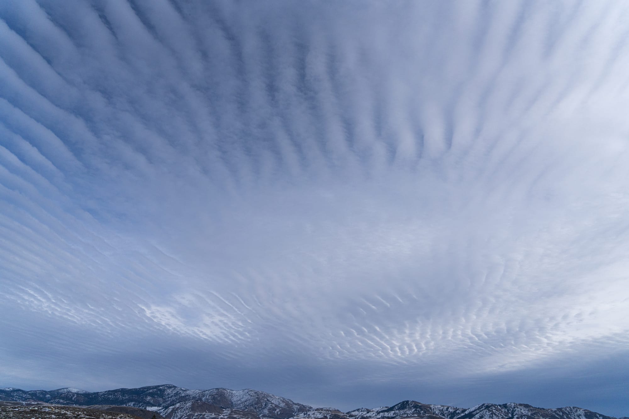 mackerel sky