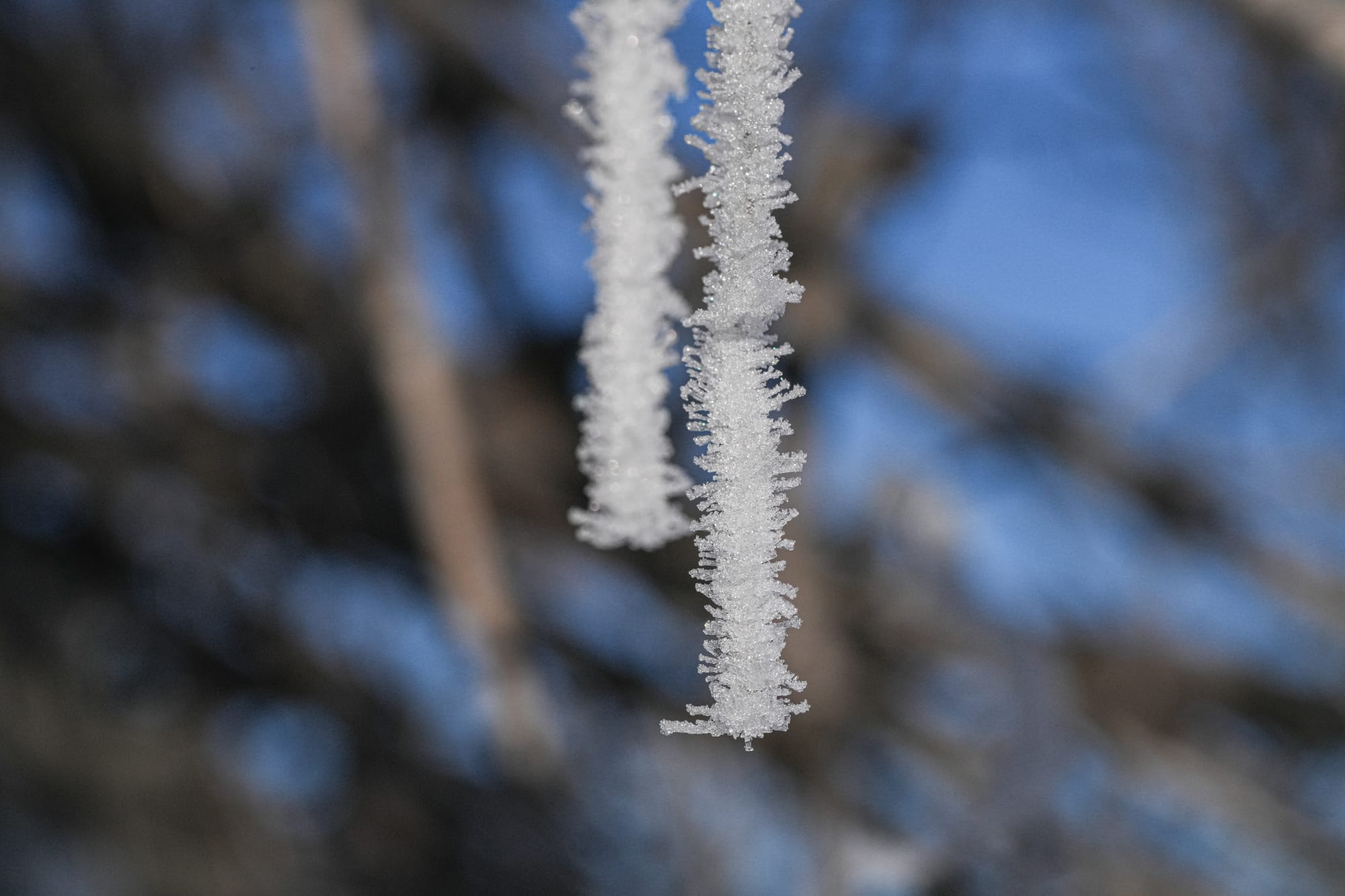 ice crystals