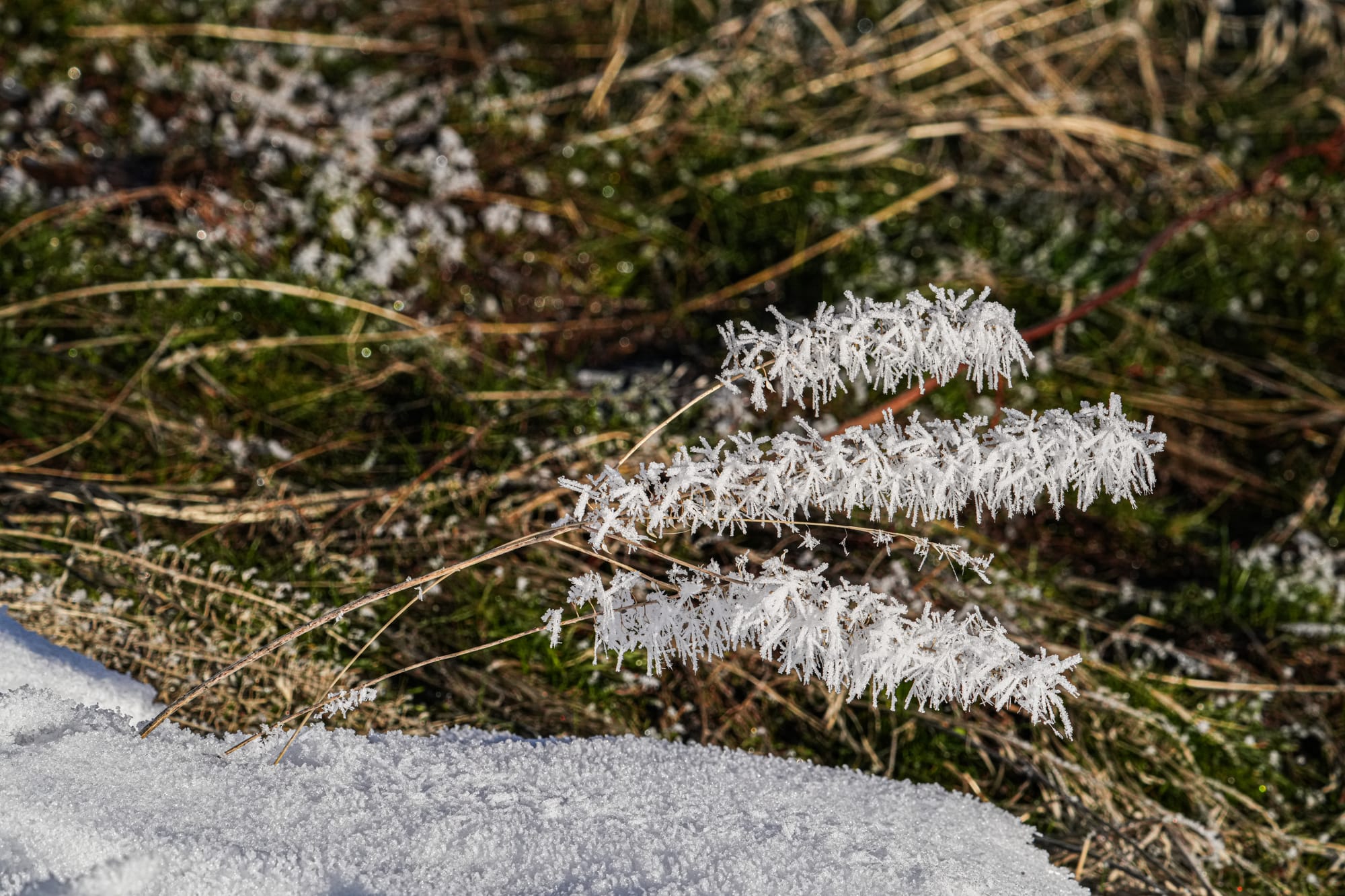 ice crystals