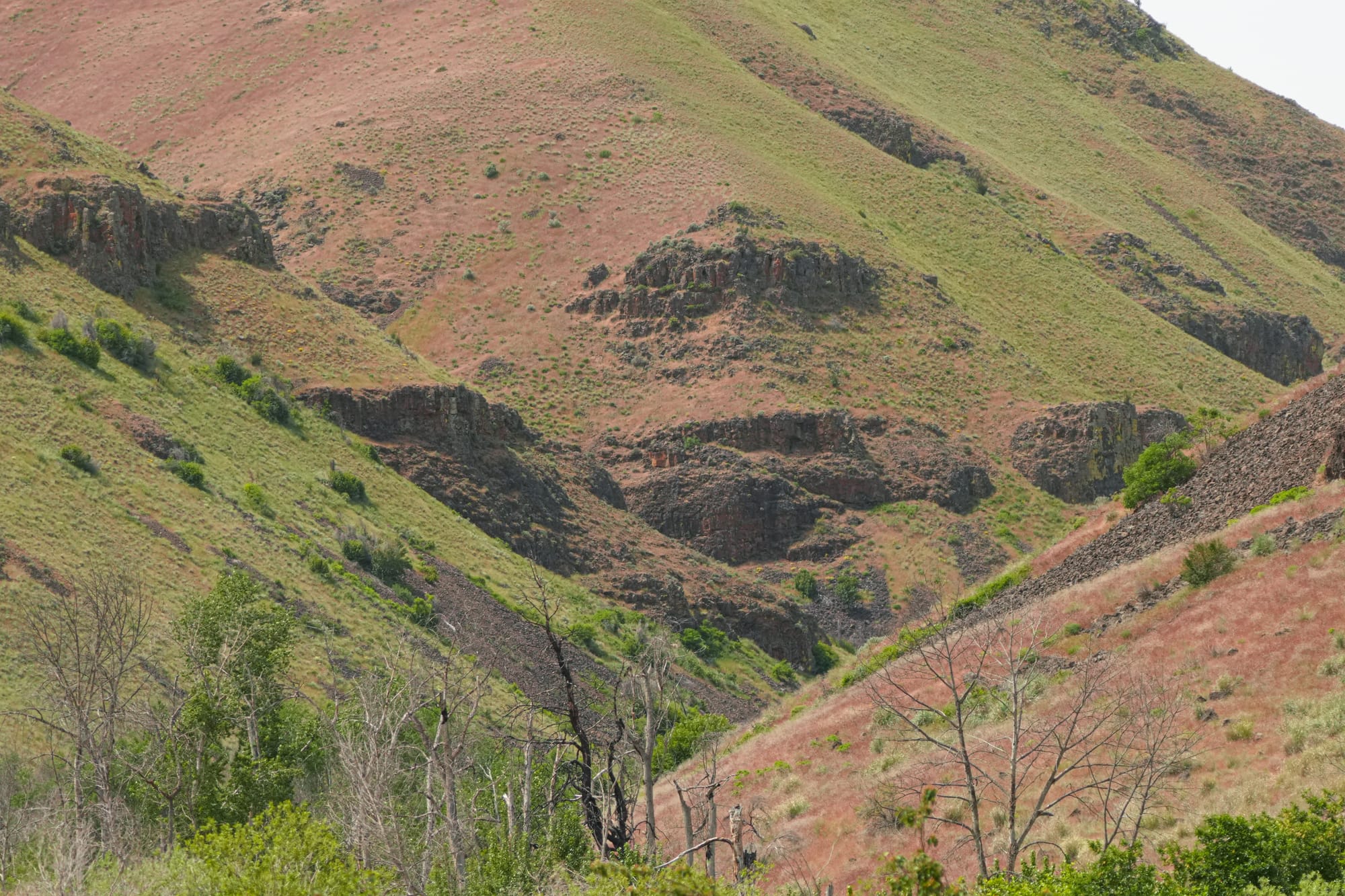 shrub-steppe hillsides