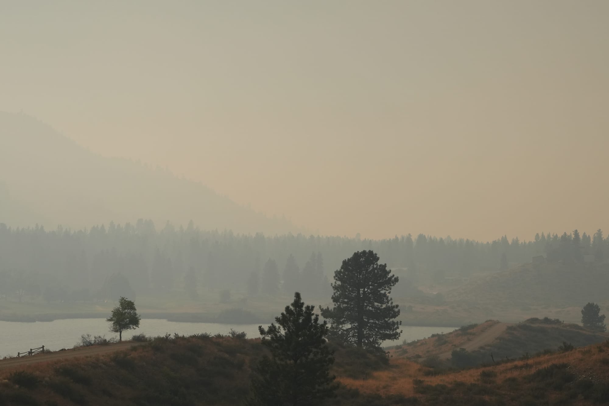 wildfire smoke