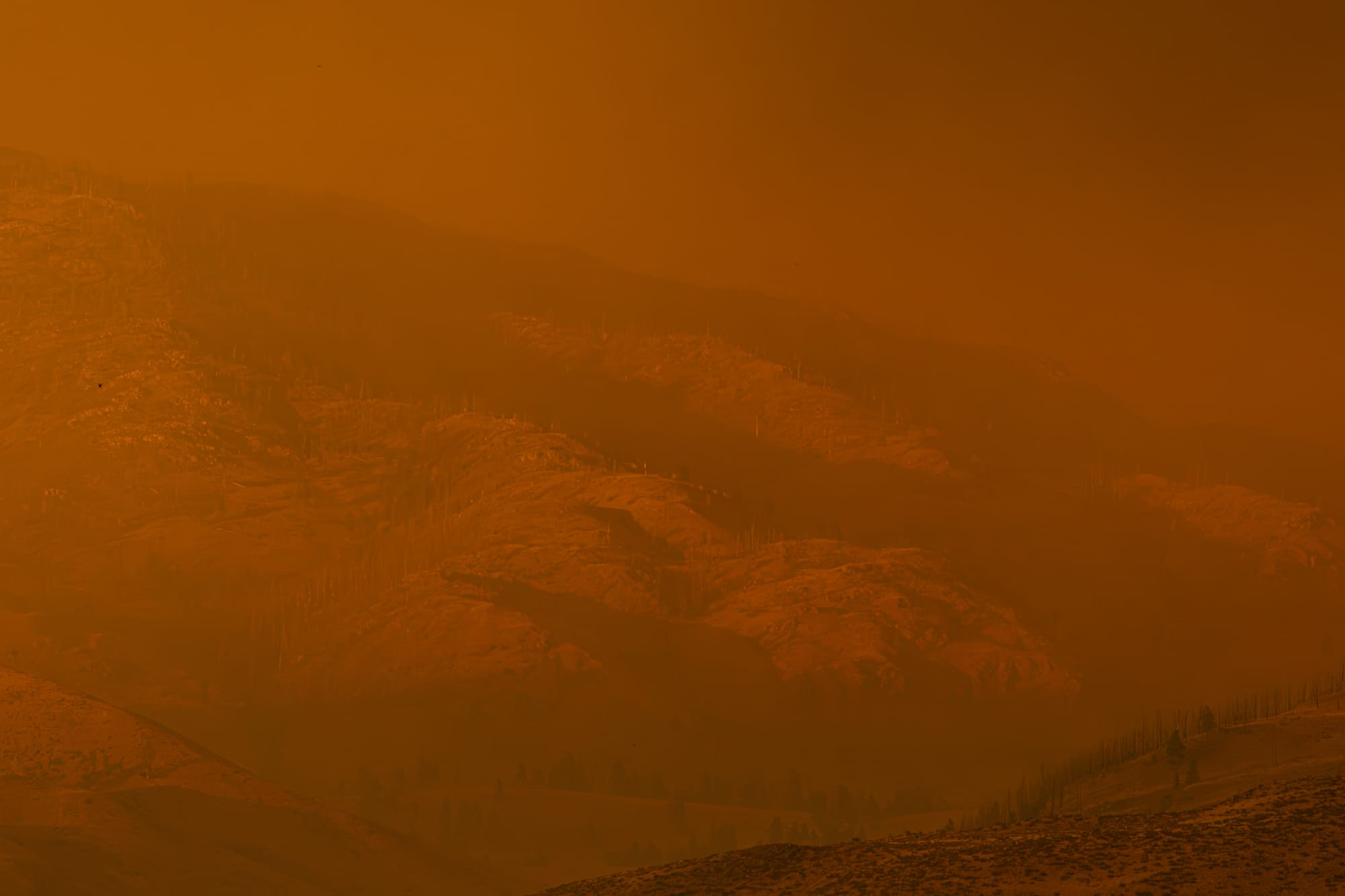 wildfire smoke