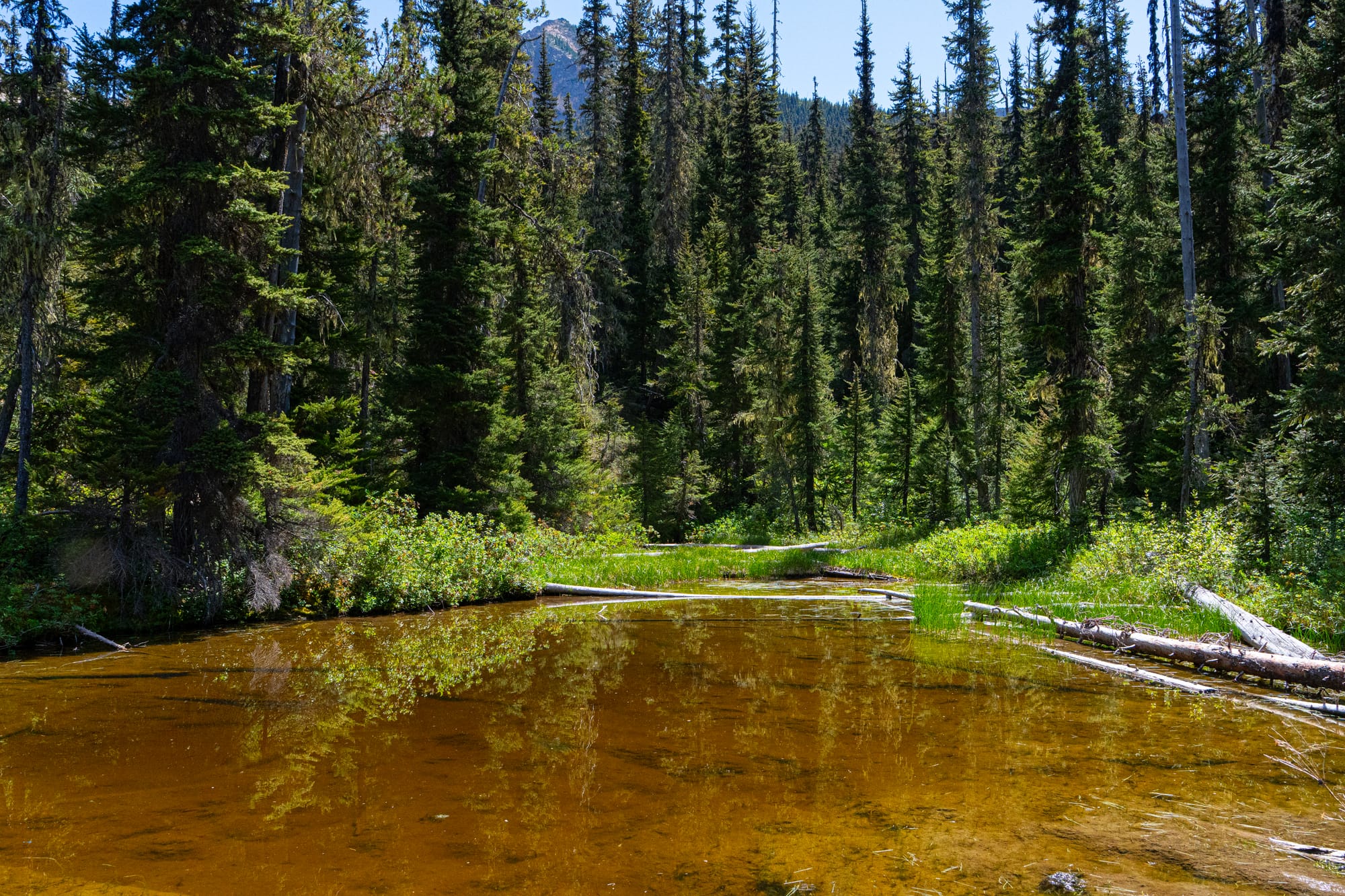 mountain pond