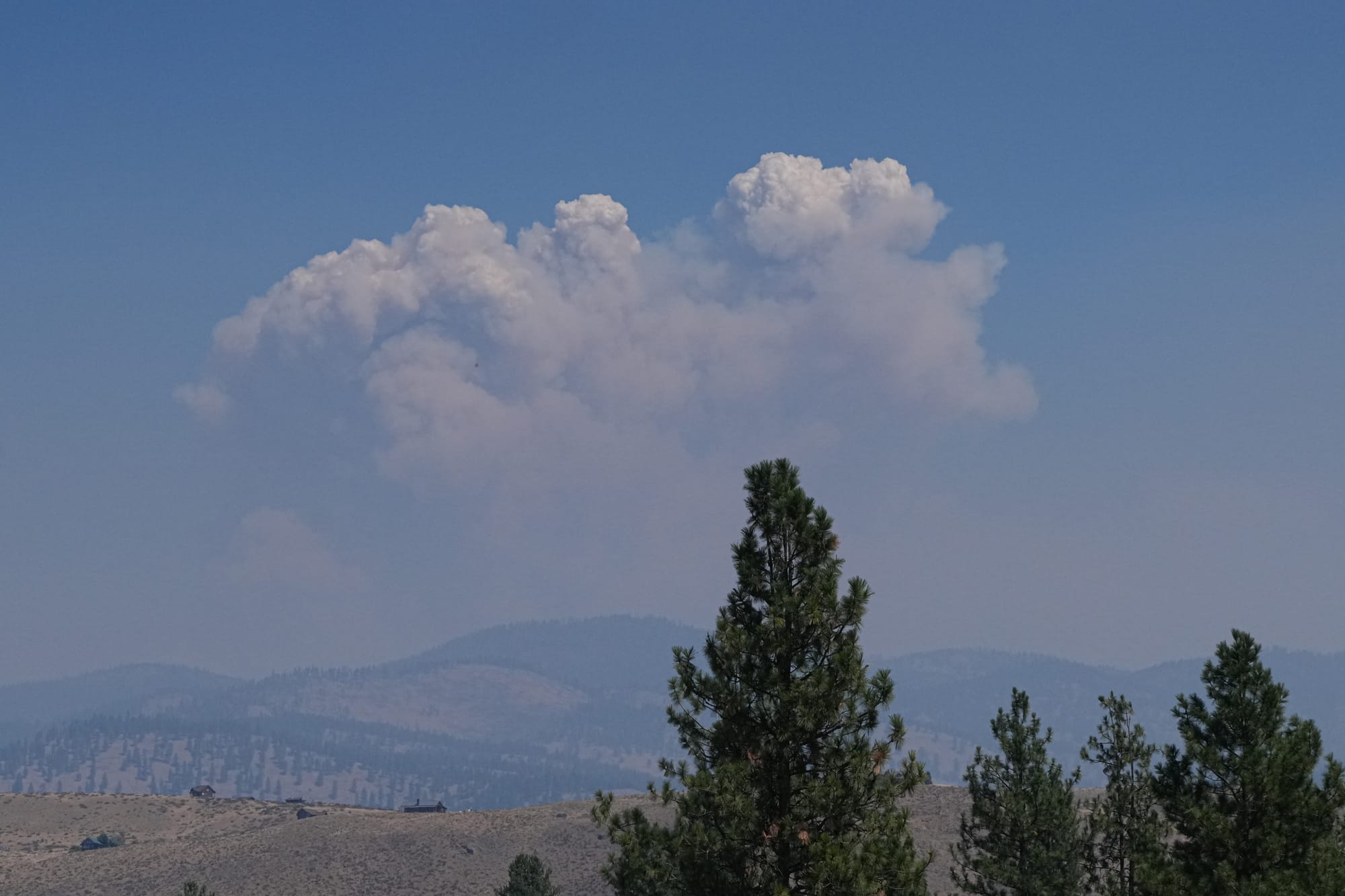 wildfire smoke