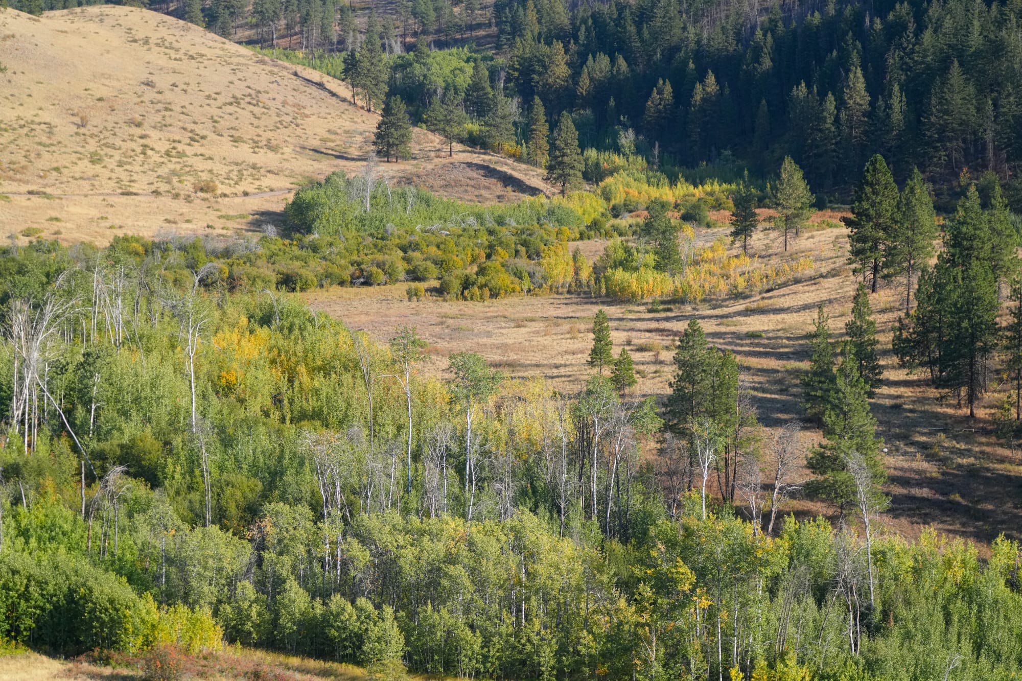 fall colors