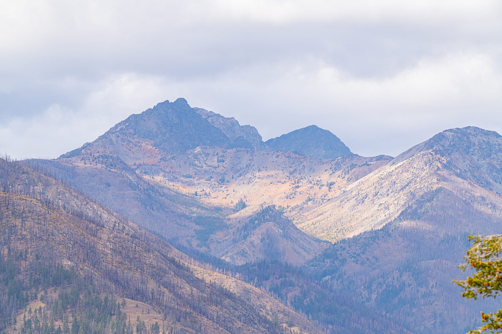 Gardner Mountain