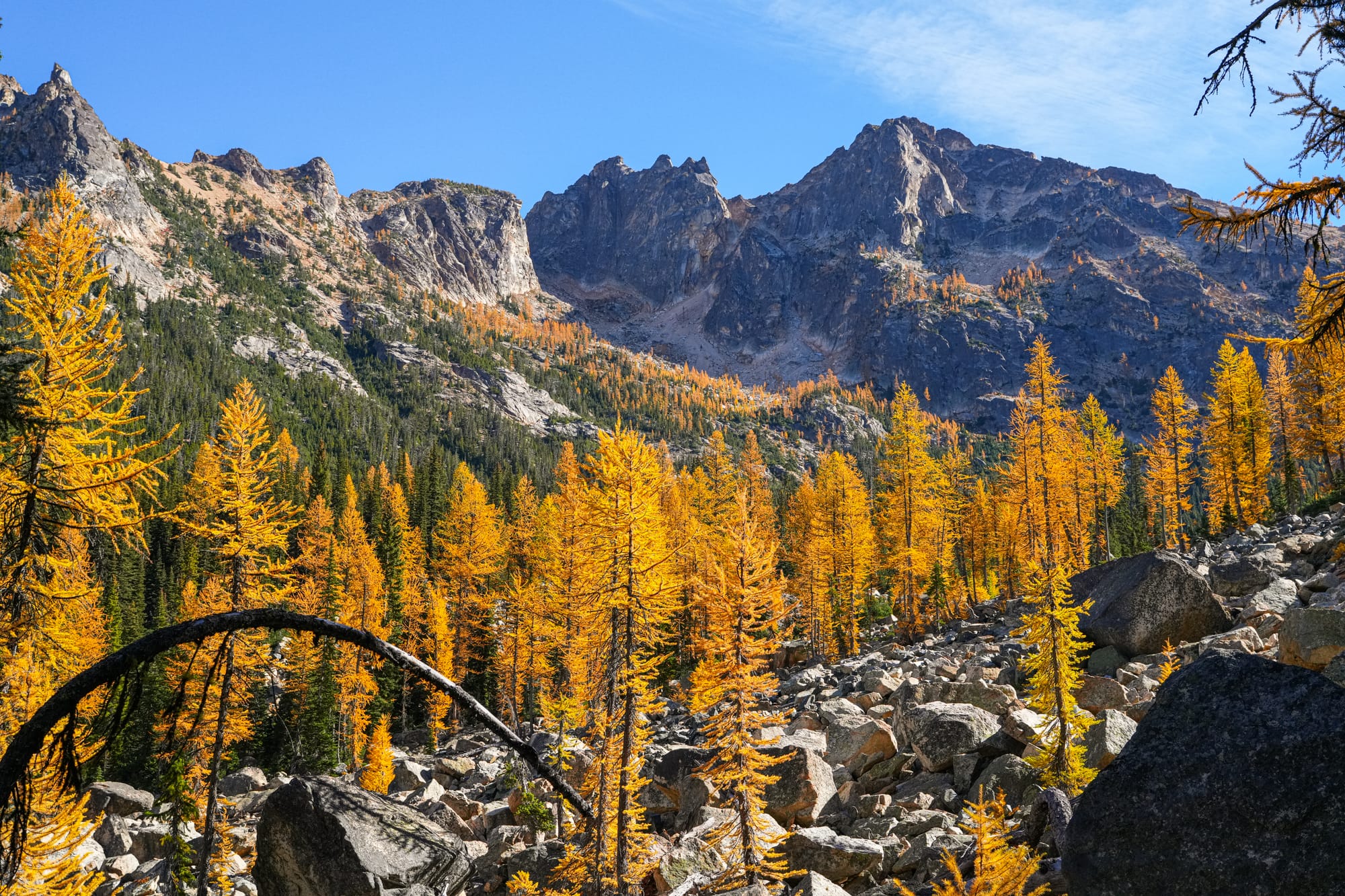fall colors