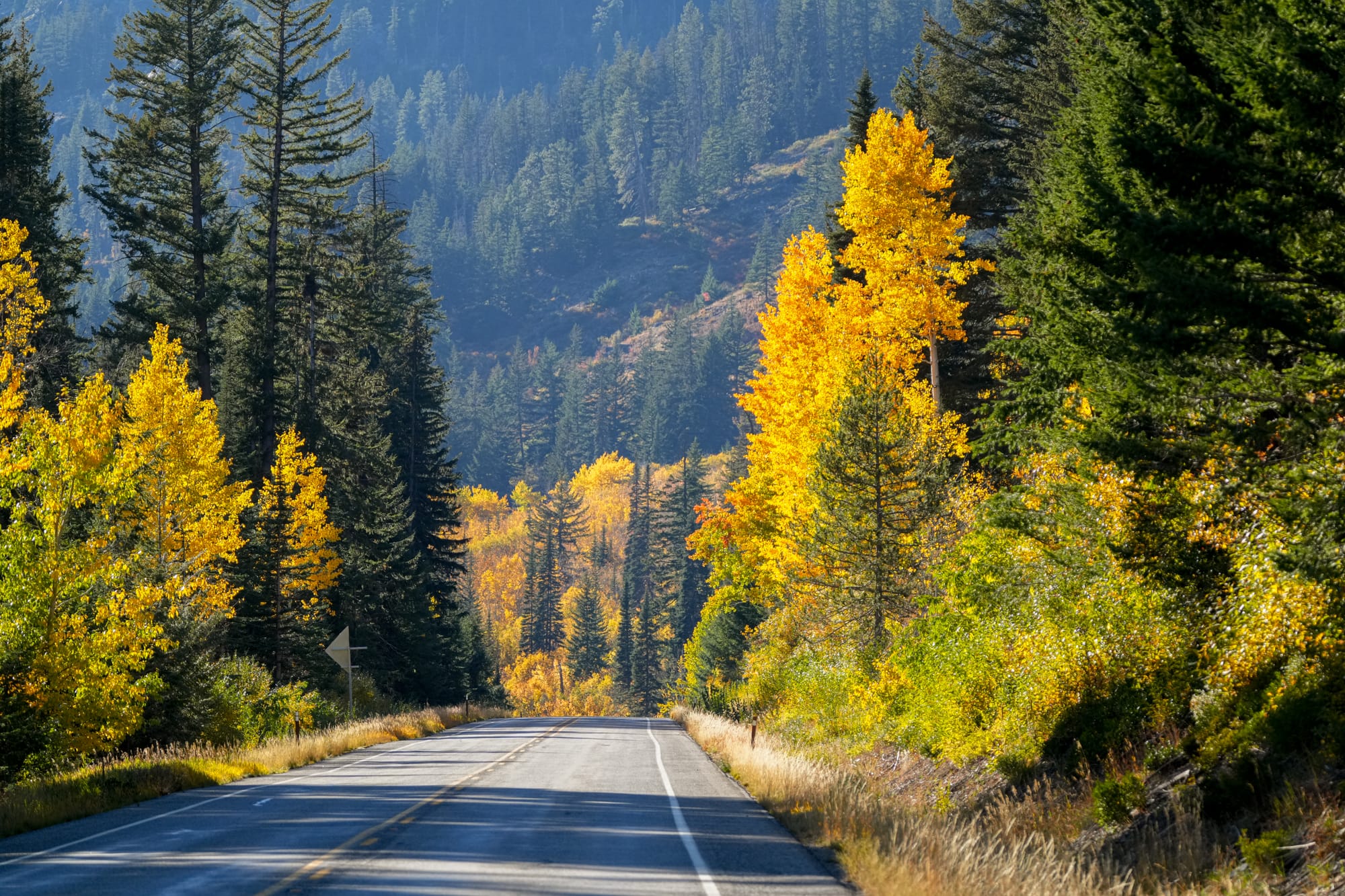 fall colors