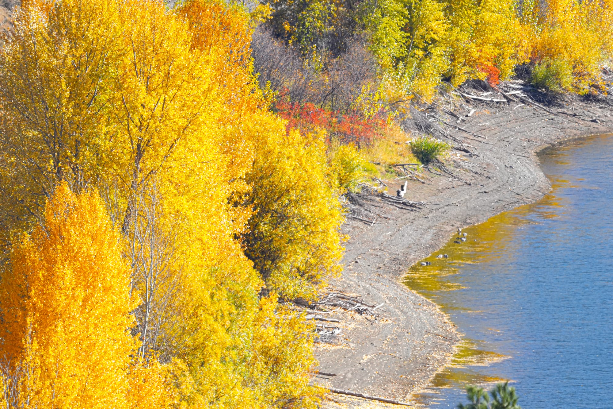 fall colors