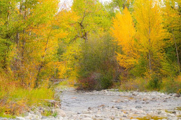 fall colors along river