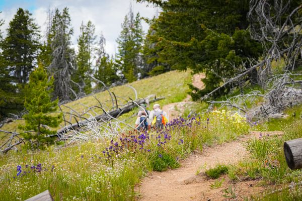 hikers on trail