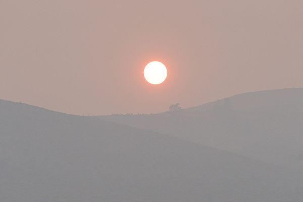wildfire smoke