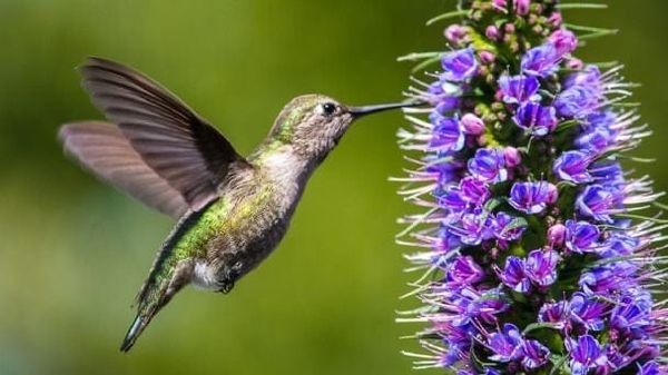 “No hay planeta B: ¿por qué el 22 de abril es más que una fecha?