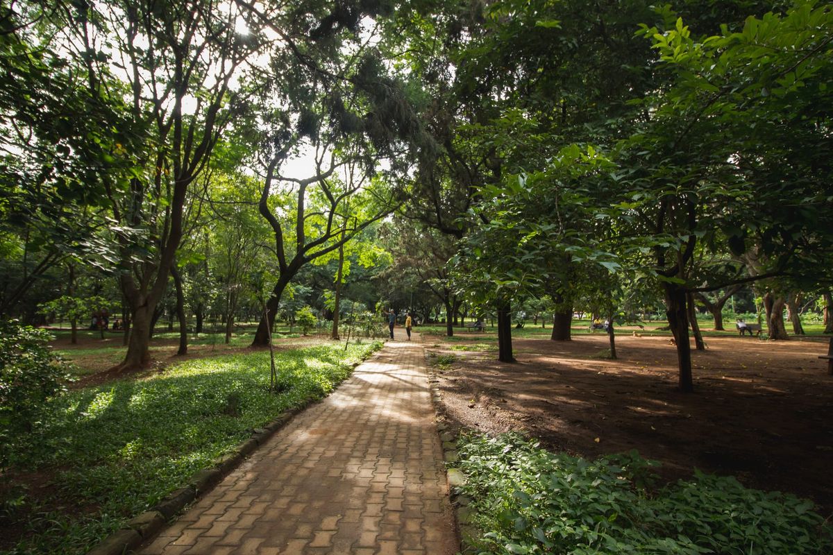 5 Unique Date Places for Couples |  Bengaluru