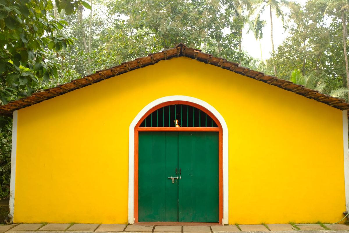 Why Feni Deserves a Spot on Your Bar Cart