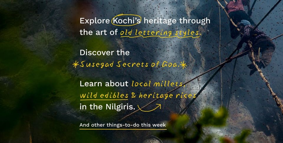 Find exciting things to do in your city with Urbanaut.