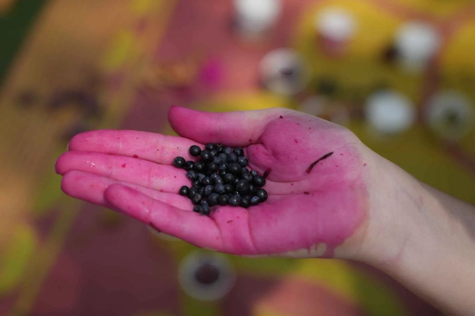 Find exciting things to do in your city with Urbanaut.