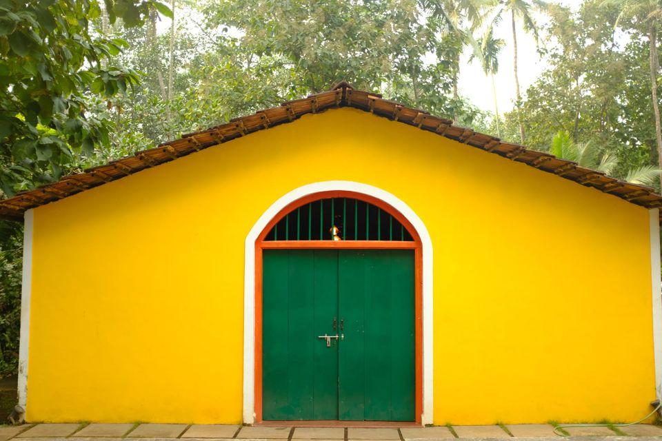 Fazenda Cazulo, a 100 year old feni distillery.