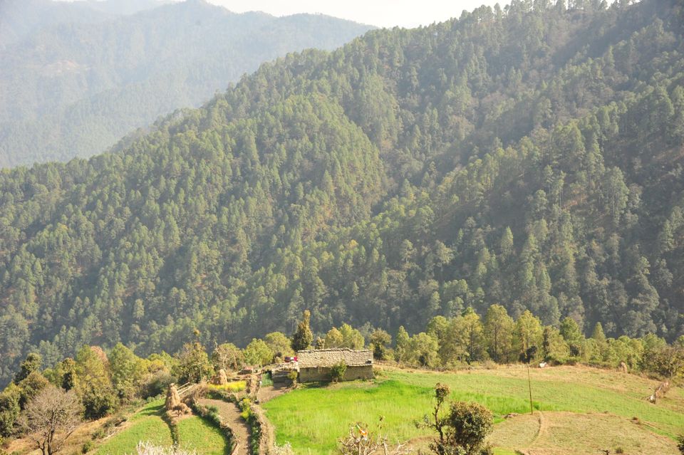 The Binsar Forest Trail Through My Eyes with Samyukta Ranganathan