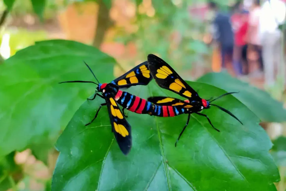 Monsoon in Mumbai: Outdoors Experiences You Can't Miss