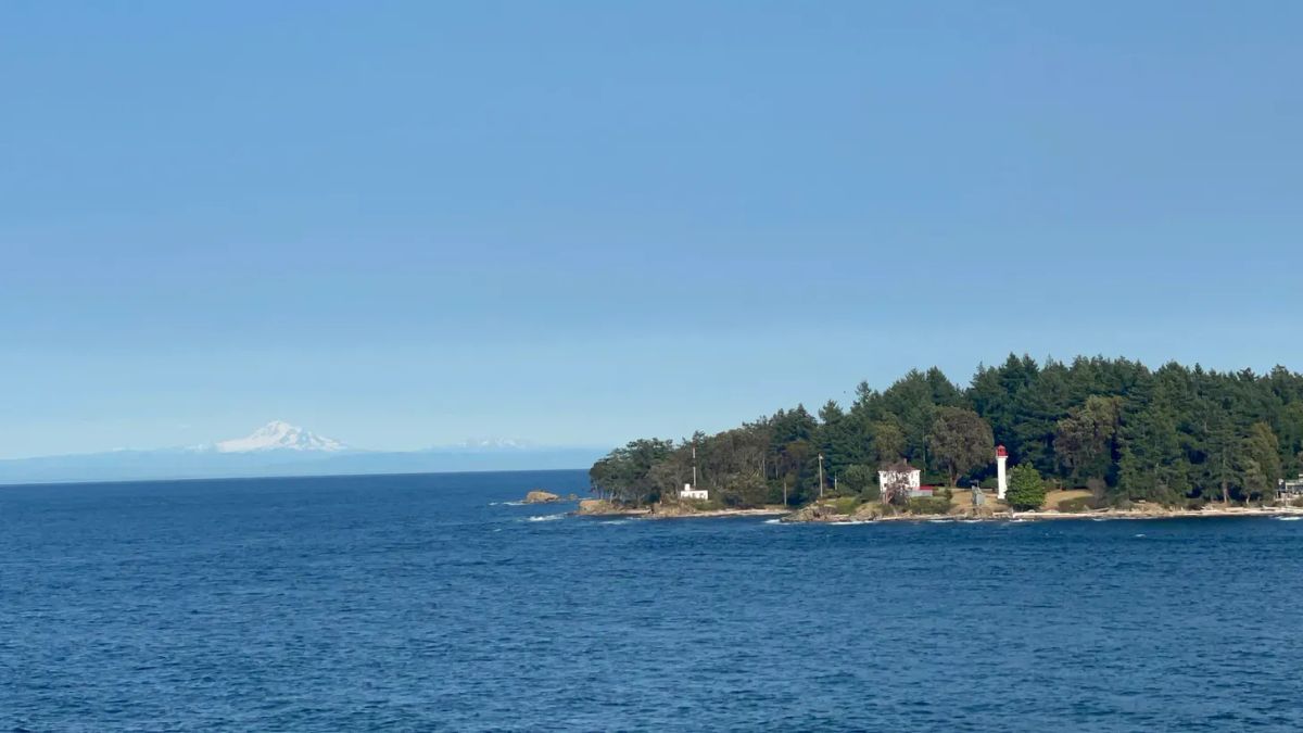 The Journey North But Also West