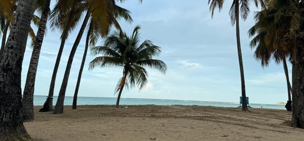 Conrad's Romanticism