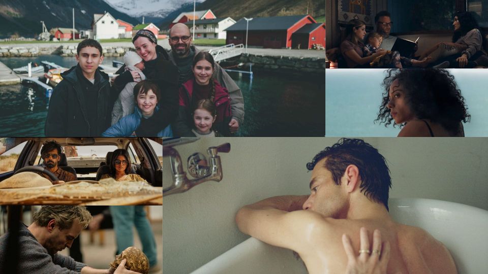 What to Watch at TIFF 2026