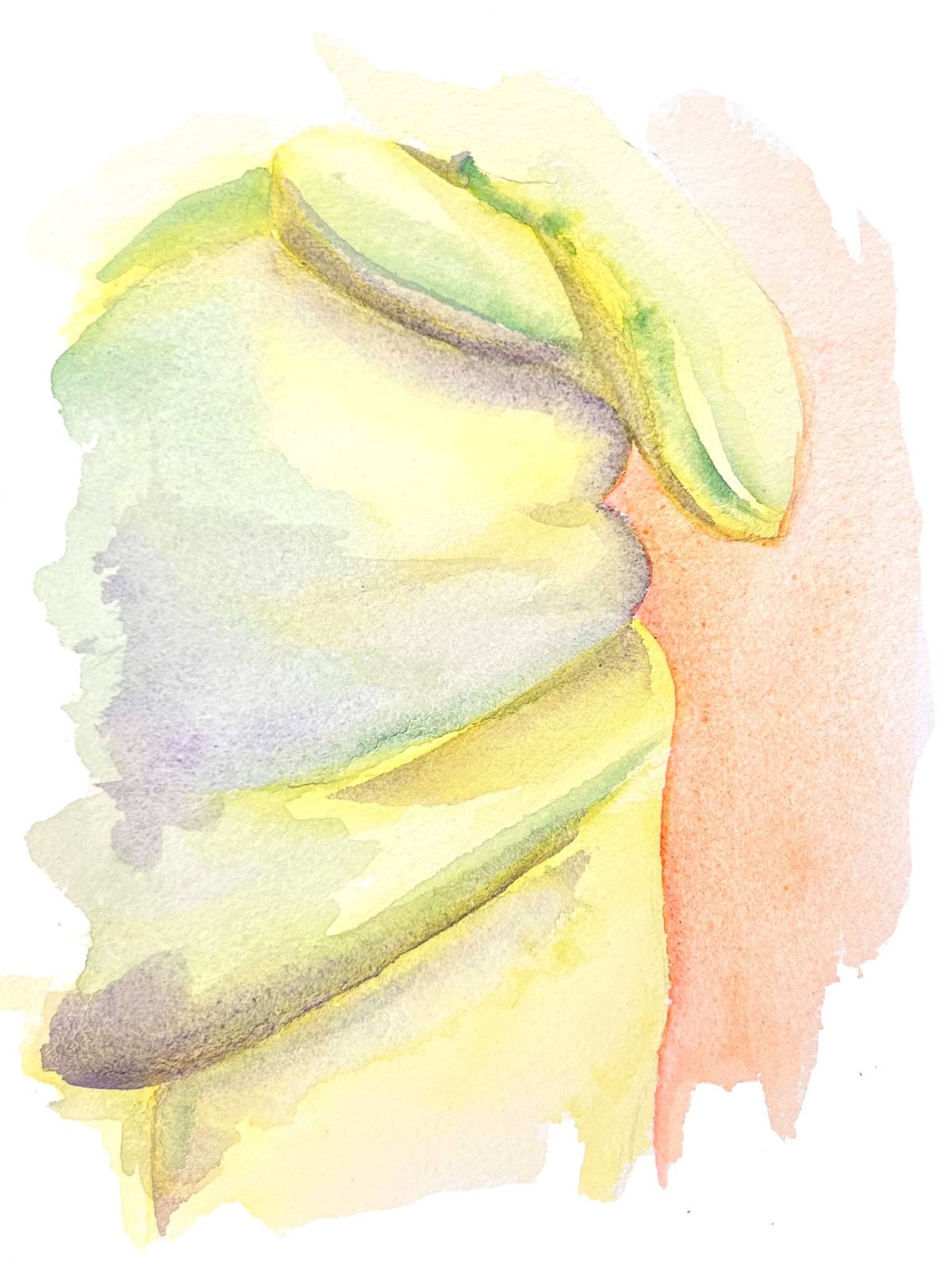 From fat to queer & beyond