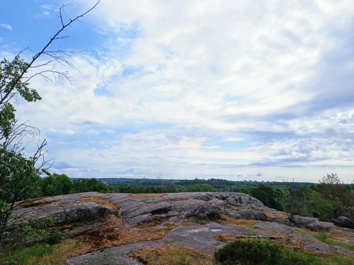 Viikinrannan kaupunginosayhdistyksen alkuvuoden tapahtumia