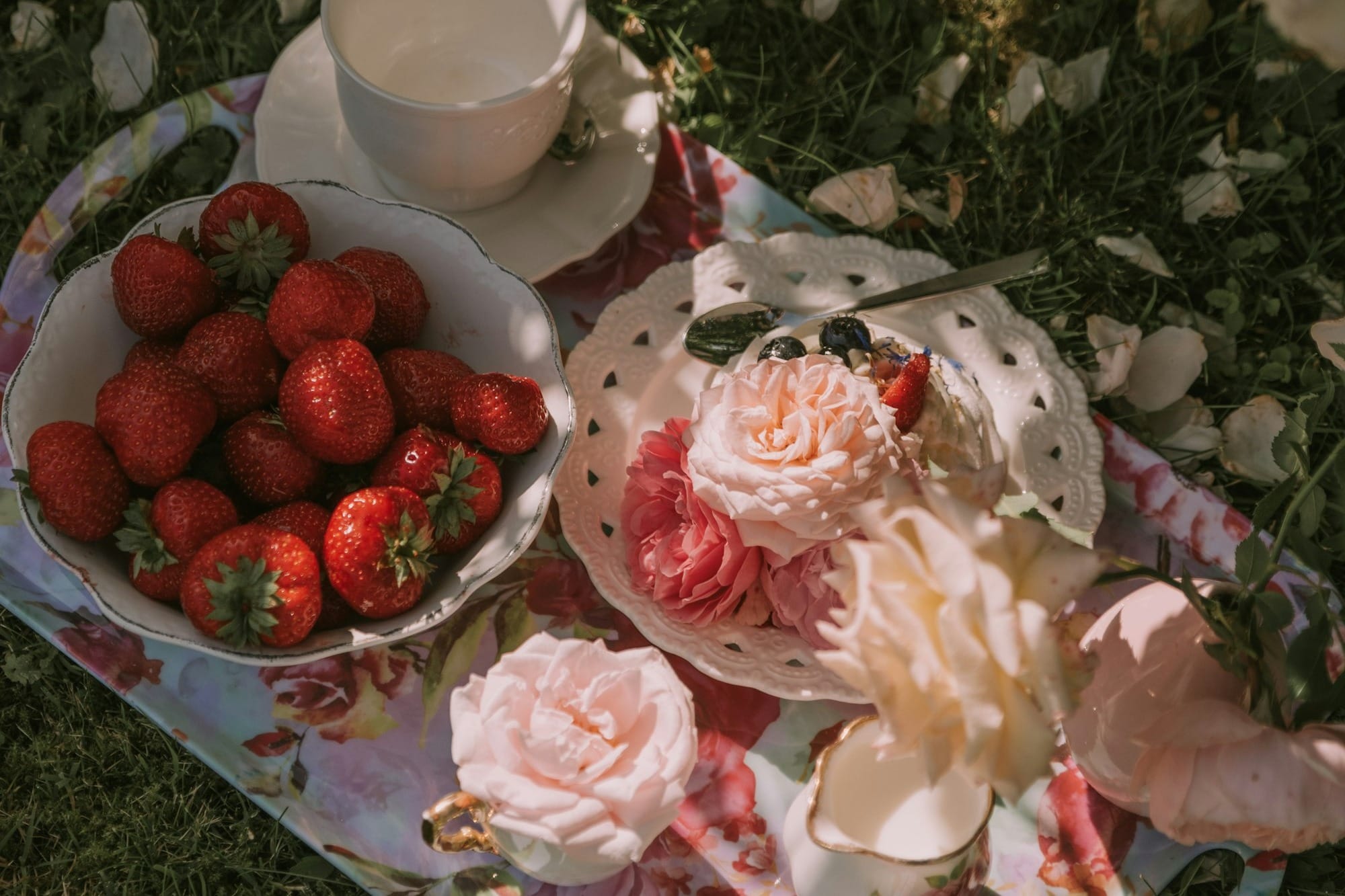 a plate of strawberries and a bowl of strawberries on a blanket