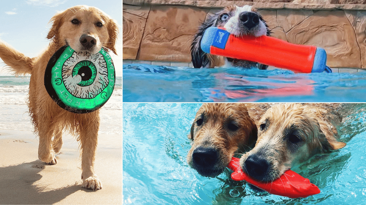 Water Toys for Dogs