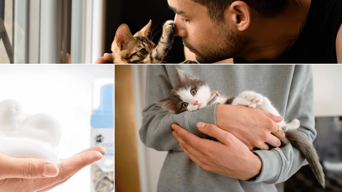 Kitten Shampoo