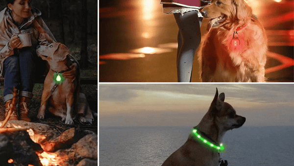 Reflectors for Dog Collars