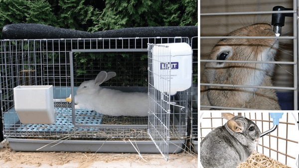 rabbit water bottle cap
