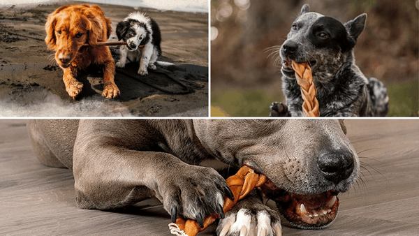 Collagen Sticks for Dogs