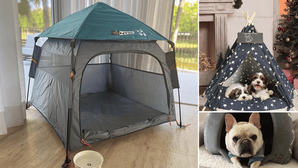 dog tent bed