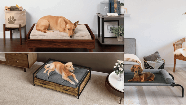 Dog Bed Frame