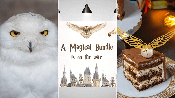 Harry Potter Baby Shower