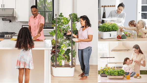 Hydroponic Planter