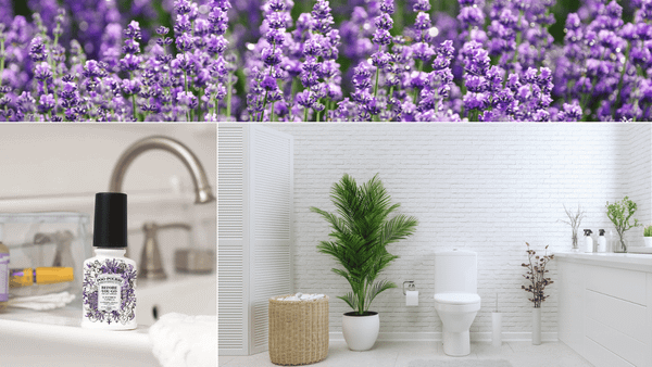 Bathroom Air Freshener