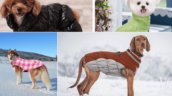 Dog Puffer Jacket
