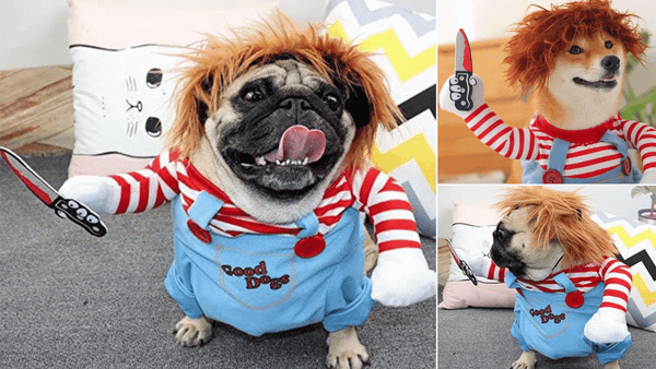 Dog Chucky Costume