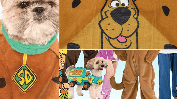 Scooby Doo Dog Costume
