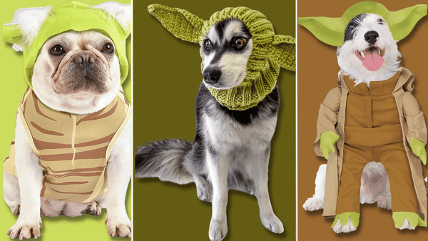 Yoda Dog Costume