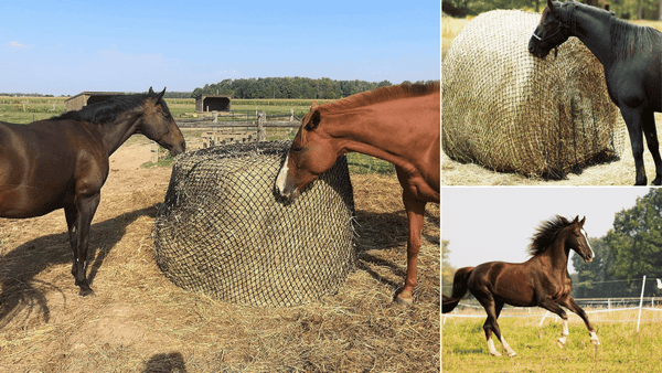 Round Bale Feeder for Horses