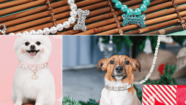 pearl dog collar