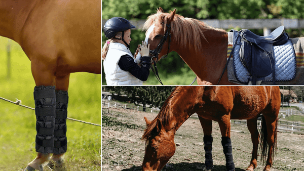 Ice Boots for Horses