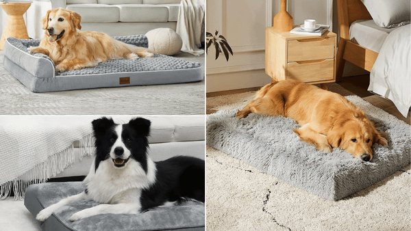 dog bed with removable cover