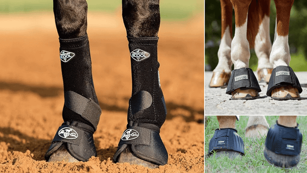 Bell Boots for Horses