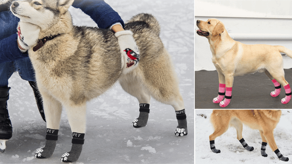 Socks for Dogs With Grips
